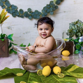 Artificial Yellow Lemon Fruit Slices Set of 14 D010 | Decorative Add-ons | Yellow